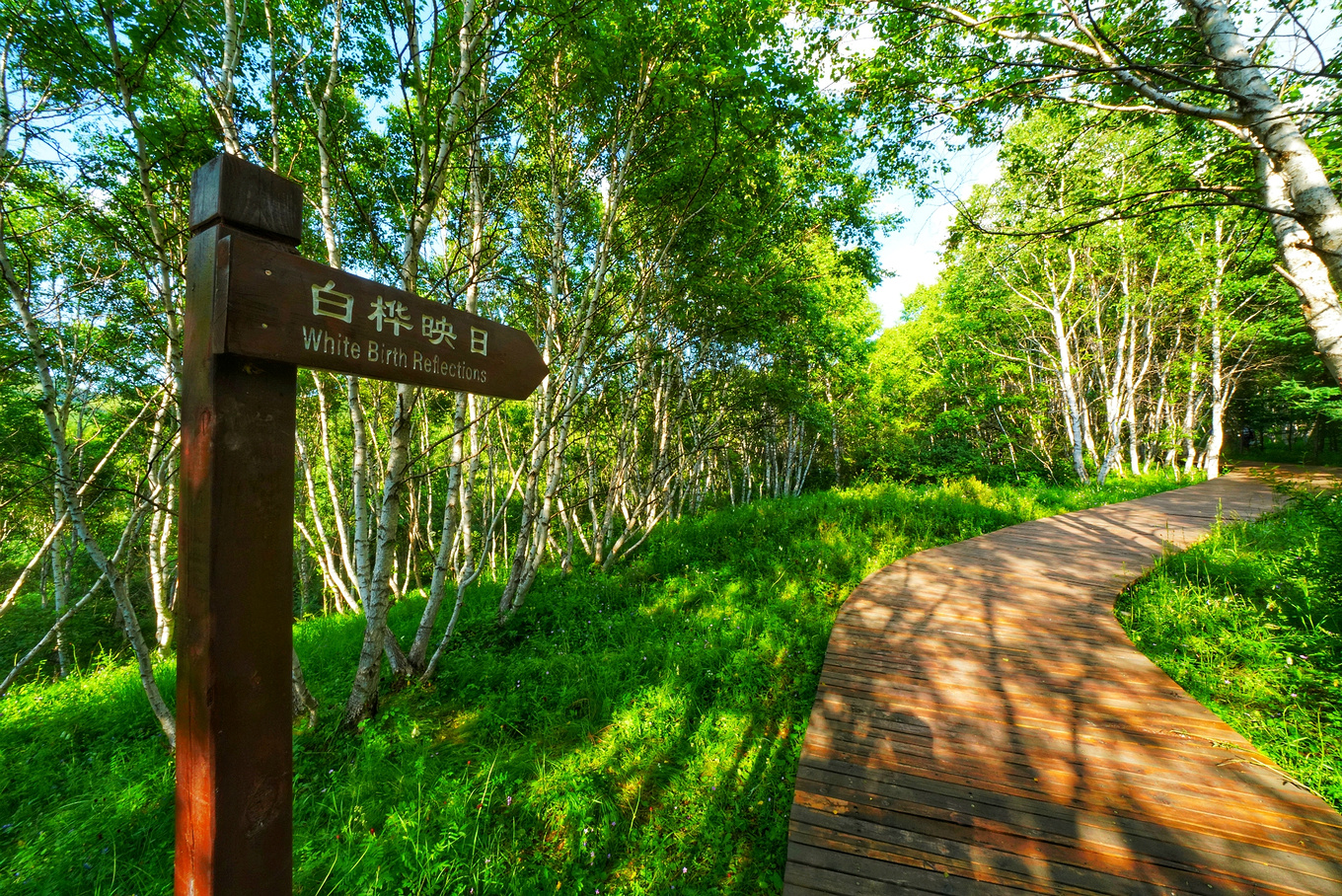 如何对付炎热的高温,炎炎夏日应对冬天