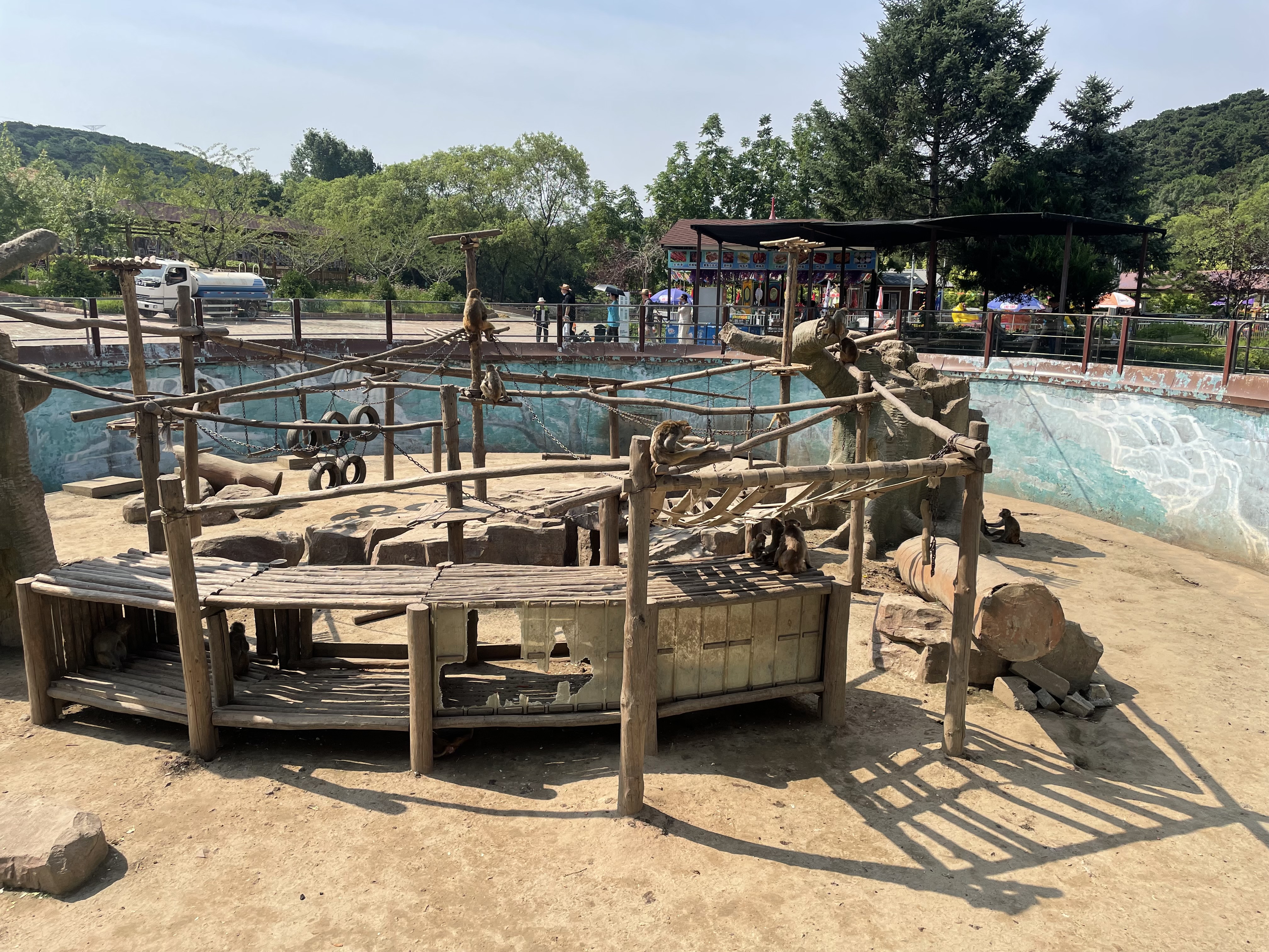 沈阳森林动物园春游,五一小长假去沈阳森林动物园游玩