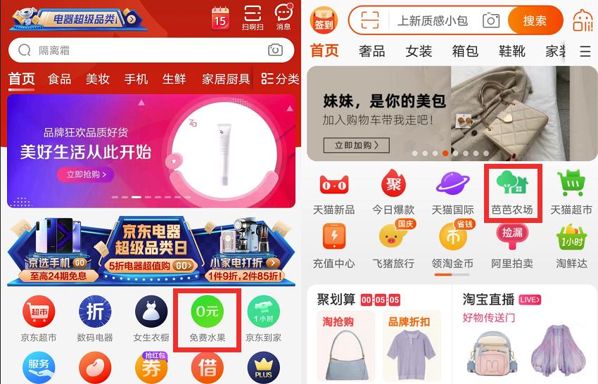 拼多多美团淘宝种水果,拼多多淘宝京东哪个种树快