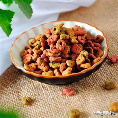 狗狗拉稀腥臭呕吐没精神,泰迪狗狗拉稀精神很好