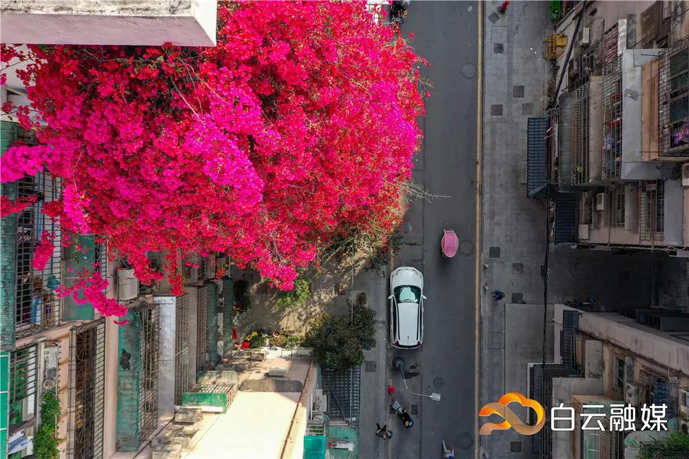 白云看风景,白云看着离地面很近是怎么回事