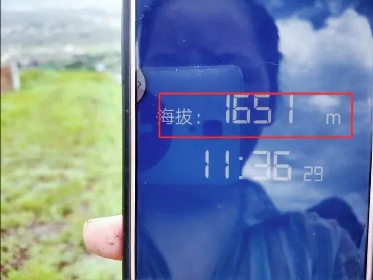 突尼斯软籽石榴雅诗兰黛,突尼斯石榴口感好吗