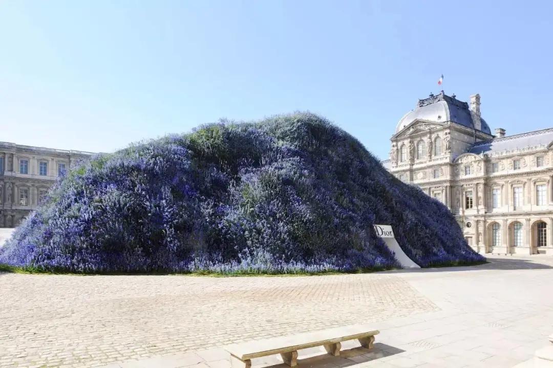 花卉市场晚上营业,今天的花卉市场