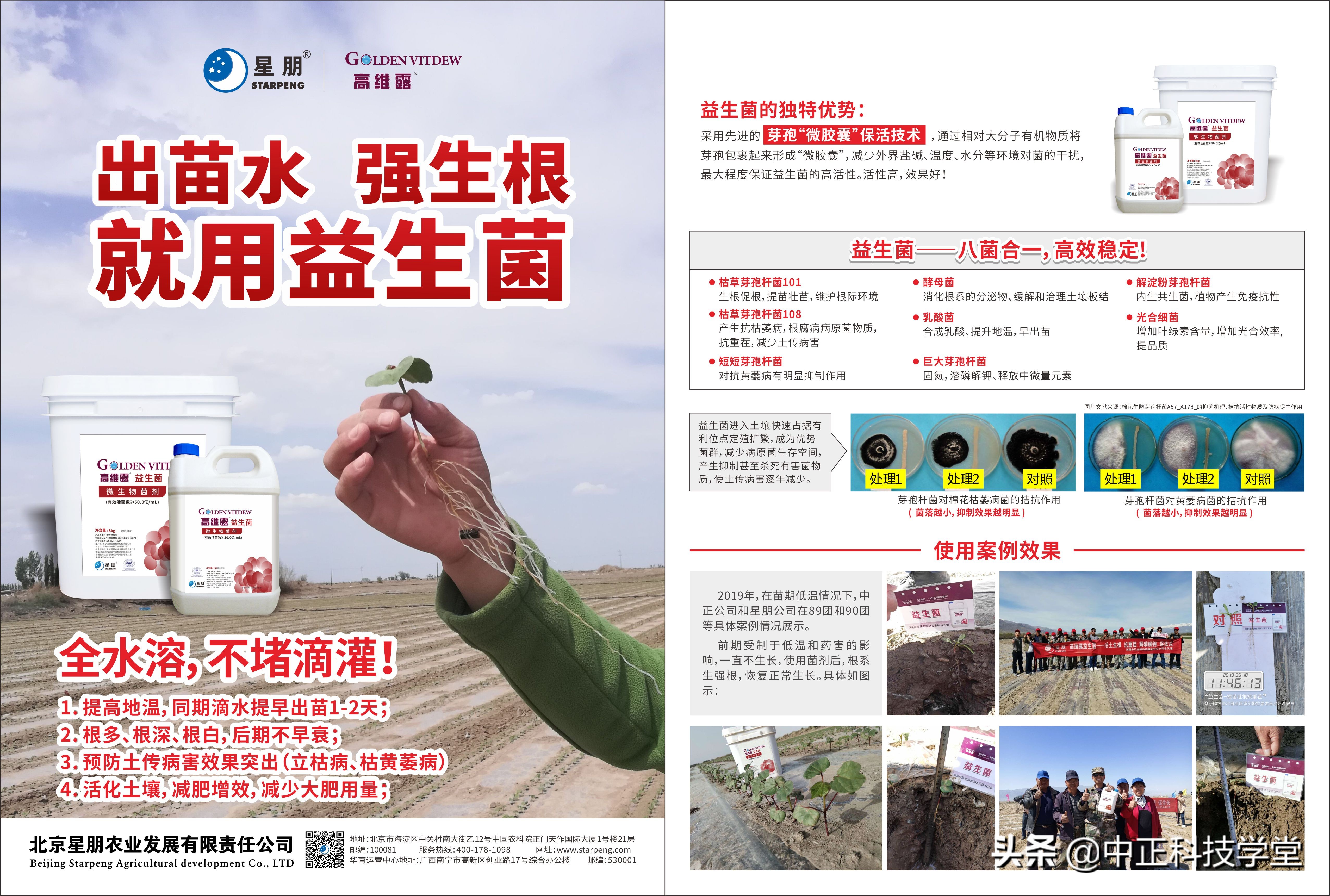 棉花黄萎病最有效的控制方法,棉花黄萎病怎样治