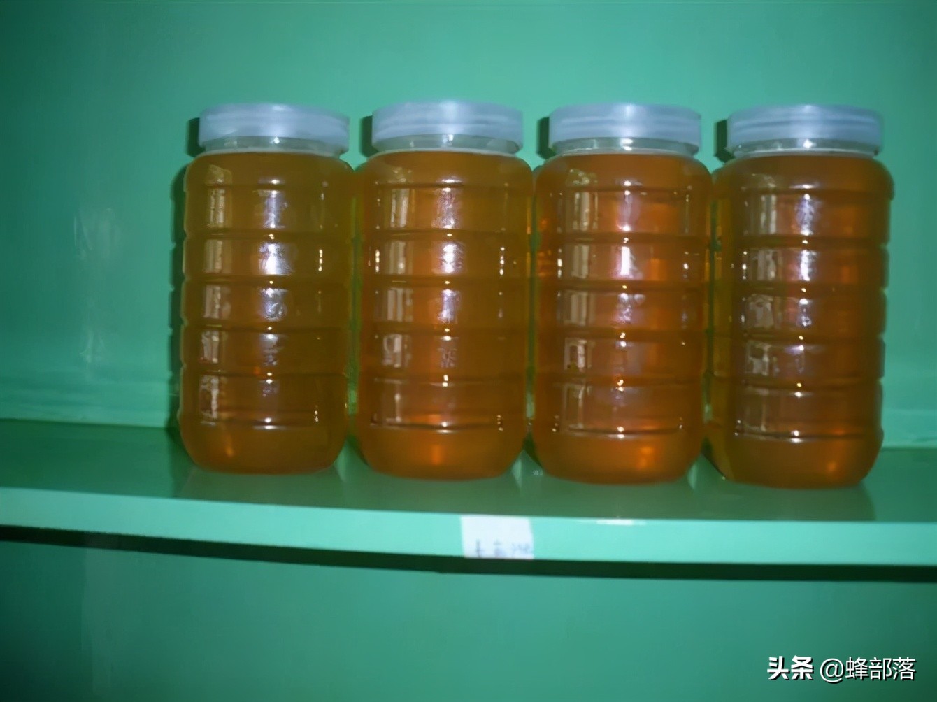 枣花蜂蜜几月份取蜜最佳,蜜蜂流蜜期多久取一次蜜