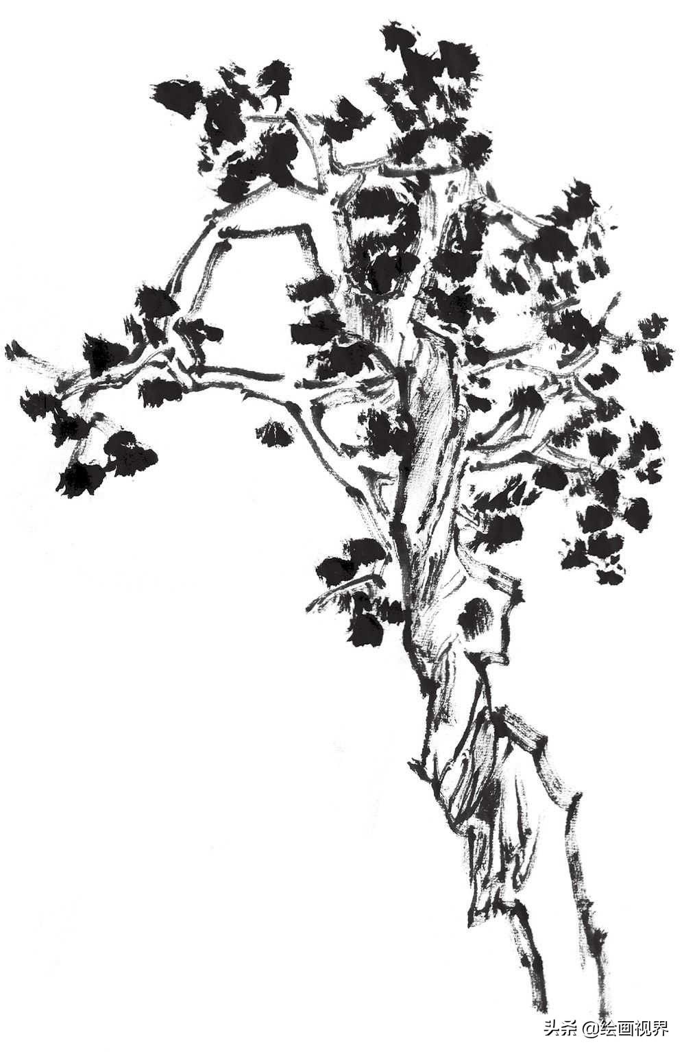 国画双钩树的画法入门,国画杂树与山石的画法图片