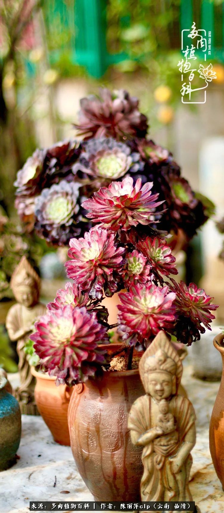 佛系看风景的地方,佛系风景空境视频