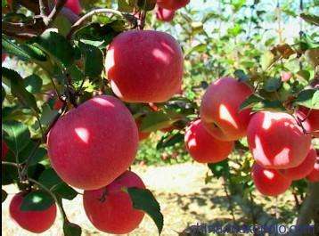 理综学霸必背口诀,高考学霸分享理综答题顺序