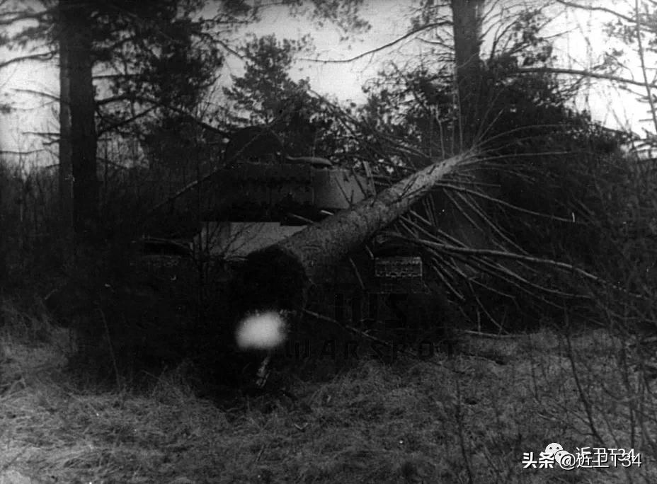 初出茅庐第三十七回朗诵,初出茅庐概括