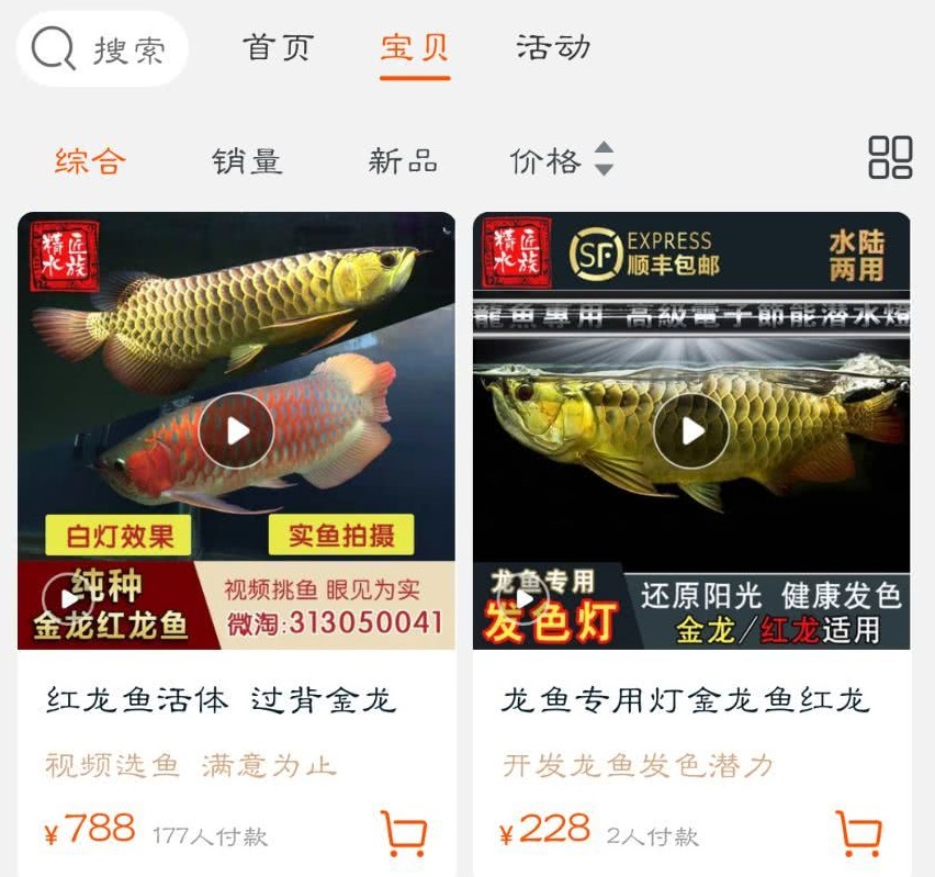 龙鱼市场价格多少钱一条,龙鱼卖了能值多少钱