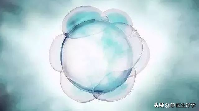 怀孕卵泡成熟不了怎么办,中医卵泡成熟不了怎么办