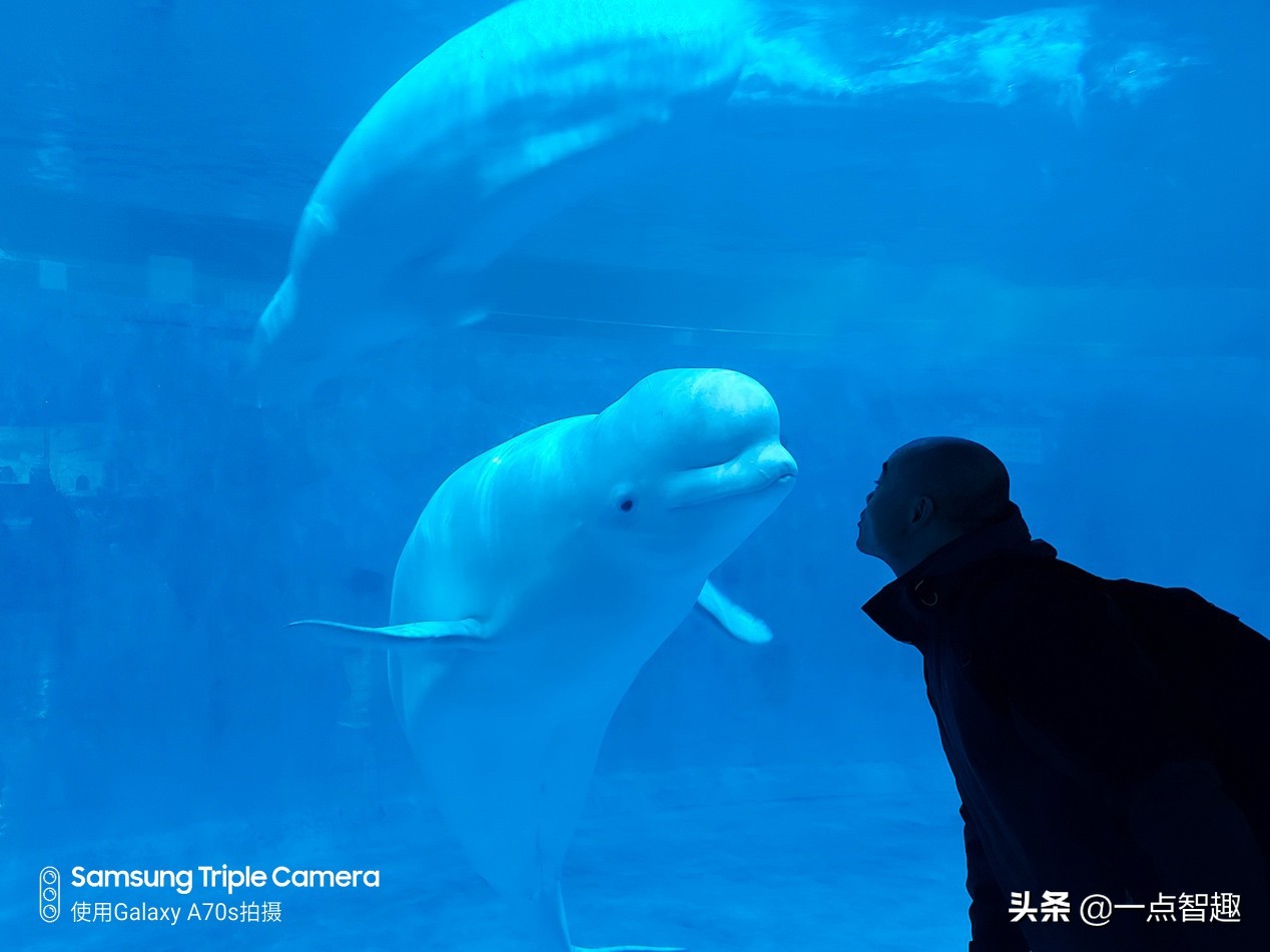 三星a70与a70s拍照对比,三星galaxya70拍照效果