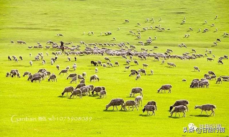 呼伦贝尔浩野户外旅行,呼伦贝尔户外游私人订制