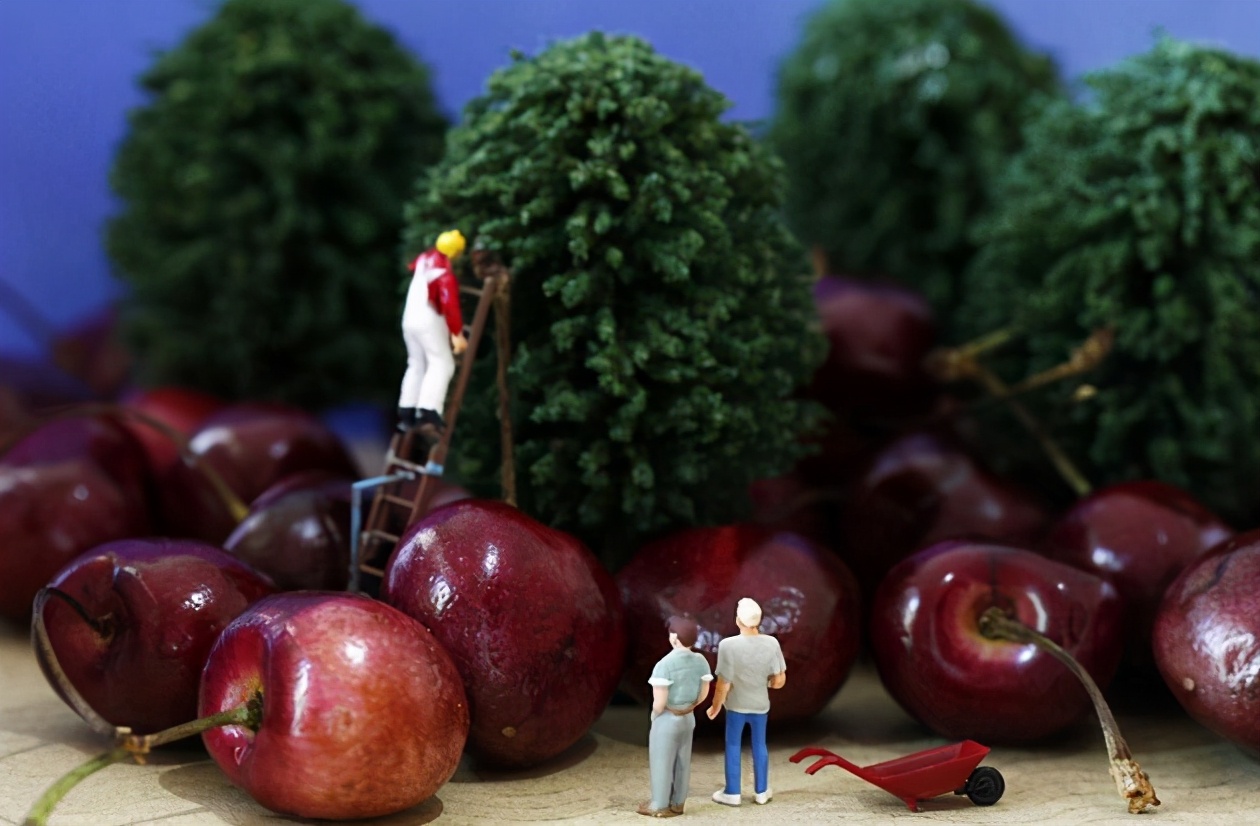 在美国生活究竟是种怎样的体验？久居华人简述21项感受