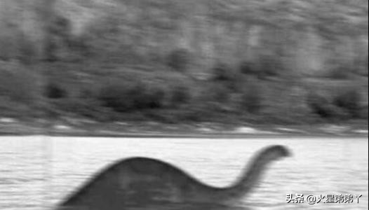 世界上最后一只恐龙视频,世界上最后一头恐龙