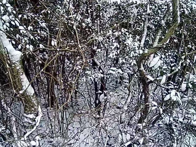 宁波的冬天歌曲,宁波的冬天完整版