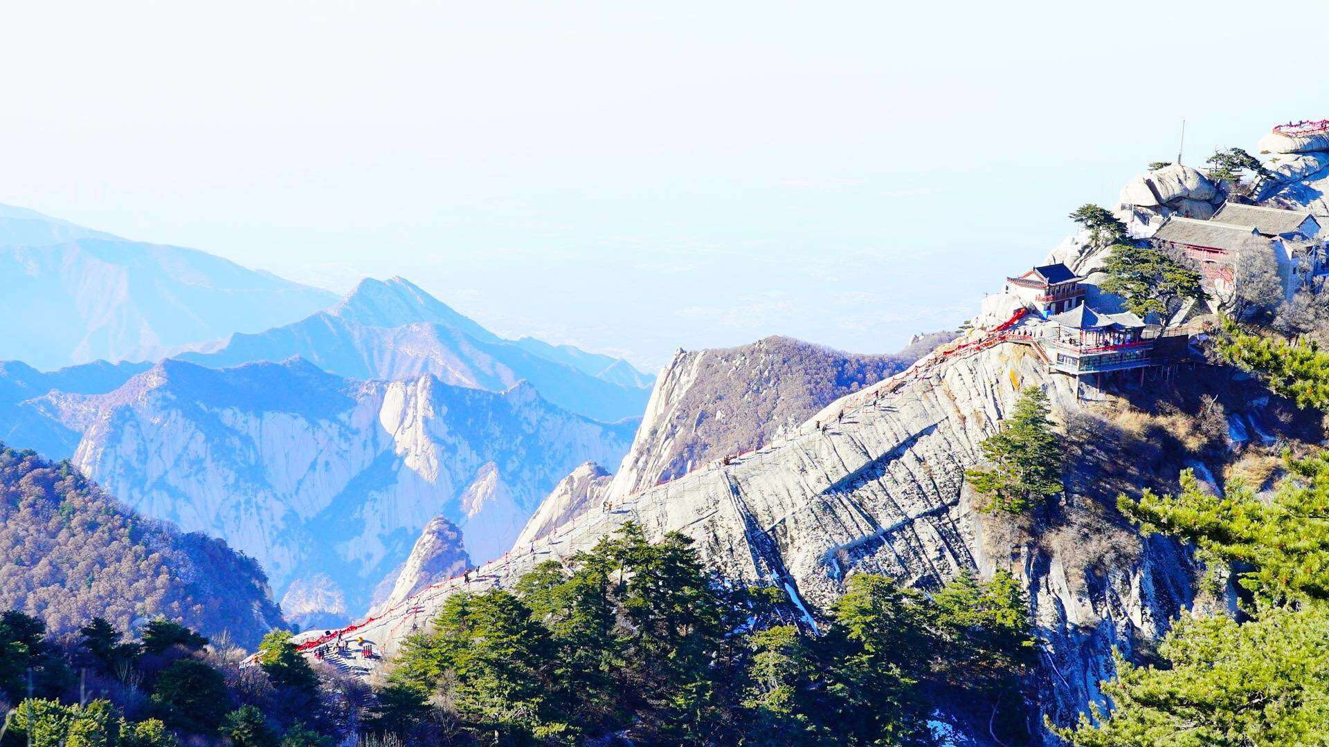 创新品类营销方式,品类第一营销案例