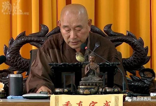 每天放生会有奇迹发生吗,一般人能活到多少岁放生有好处