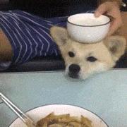 快手赚钱视频是真的吗,快手视频火了有收益吗