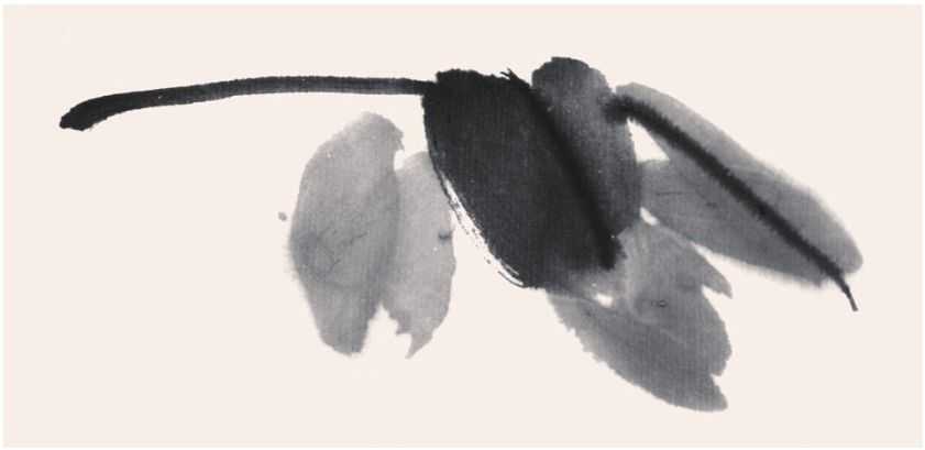 国画牡丹叶子的画法一窍不通,如何画牡丹花叶子和枝干国画视频