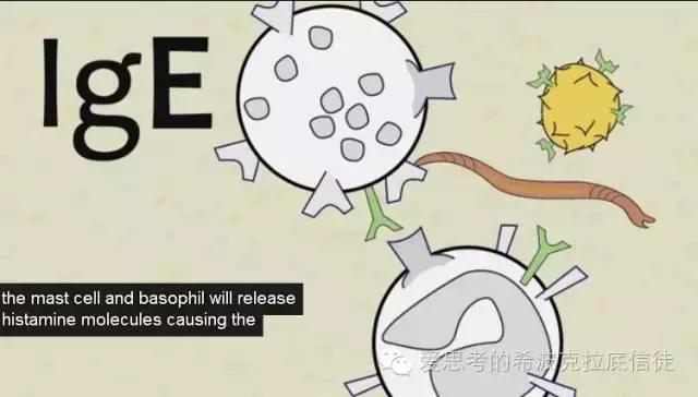 一种罕见病常跟儿童湿疹混淆，它是什么病呢？