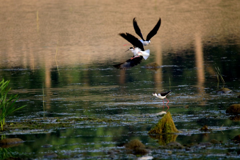 宿在驼梁，感受一种无忧的生活/郝贵云