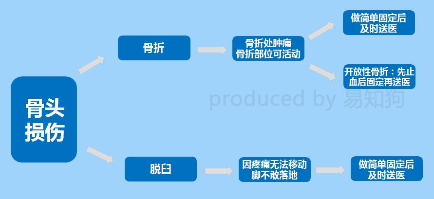 居家狗狗生活训练,日常护理狗狗皮肤不瘙痒
