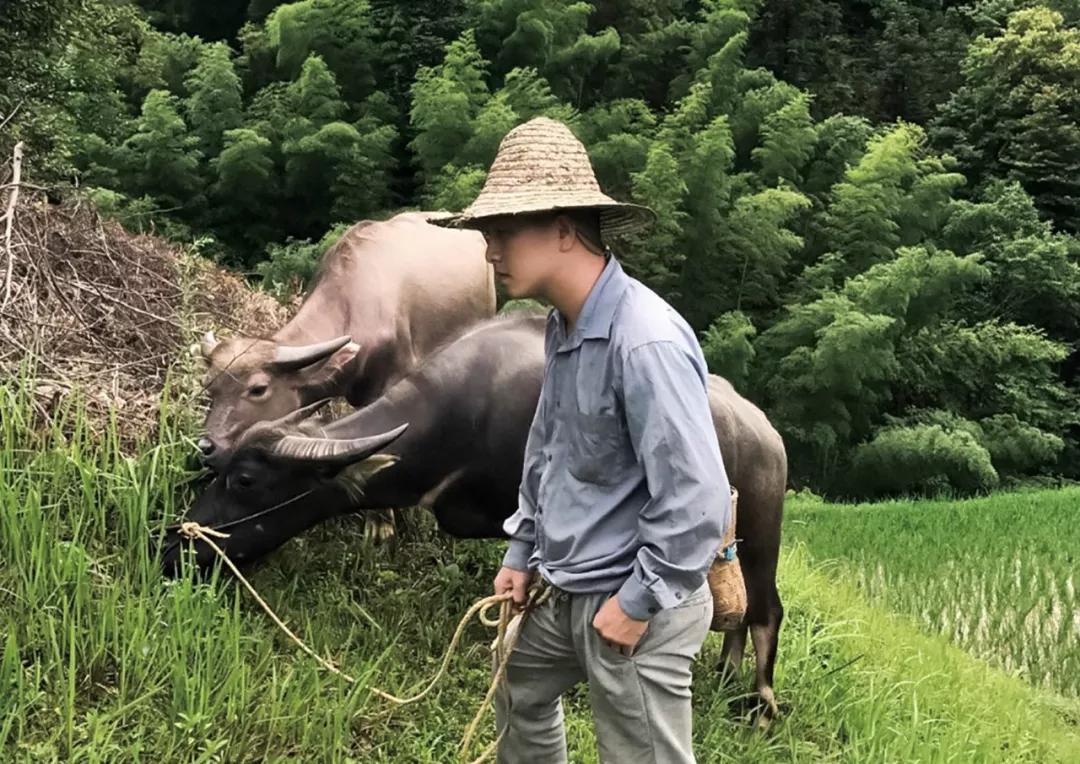 贵州网红“乞丐哥”的罪恶人生,网红乞丐哥拐卖妇女被抓