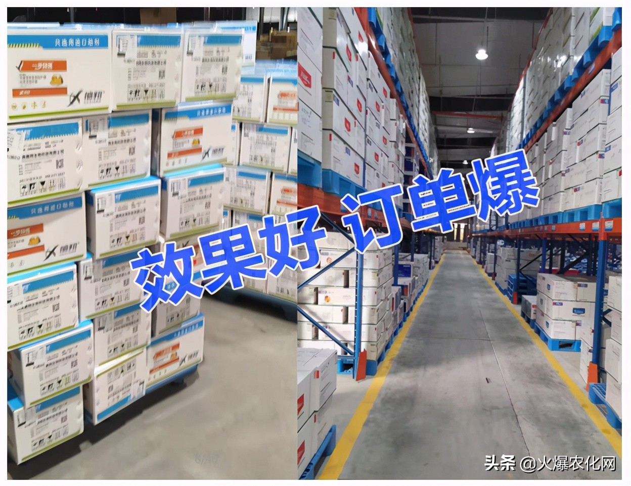 全面替代铜制剂！新一代“击溃爆品”！不伤花果！防治率高达96%