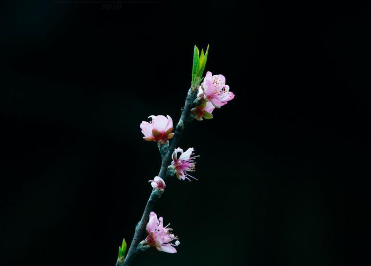 期货同品种跨月套利入场时机,期货交易方向怎么确定