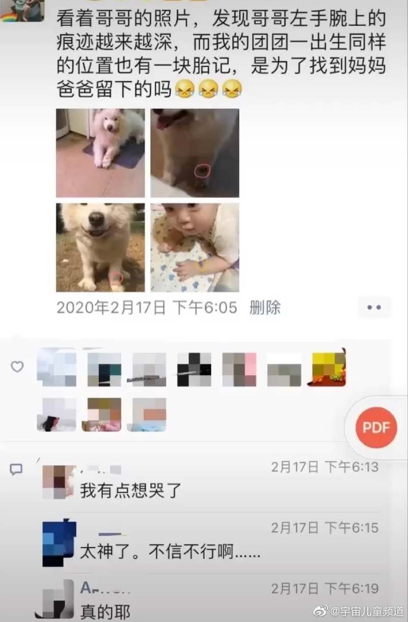 新生儿和狗狗有一样的胎记,狗狗去世和宝宝有一样的胎记