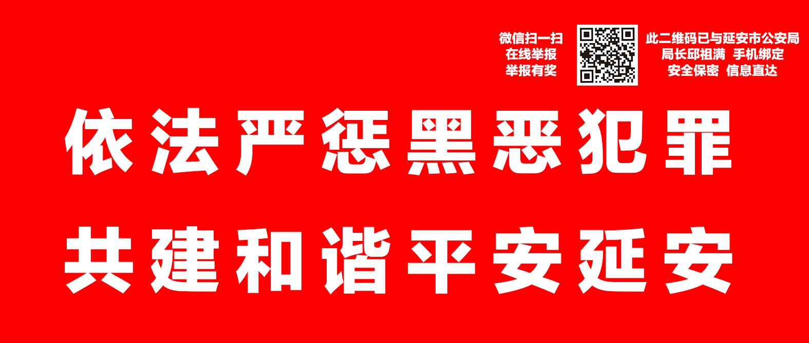 陕西省延安市制药企业,延安制药有哪些产品