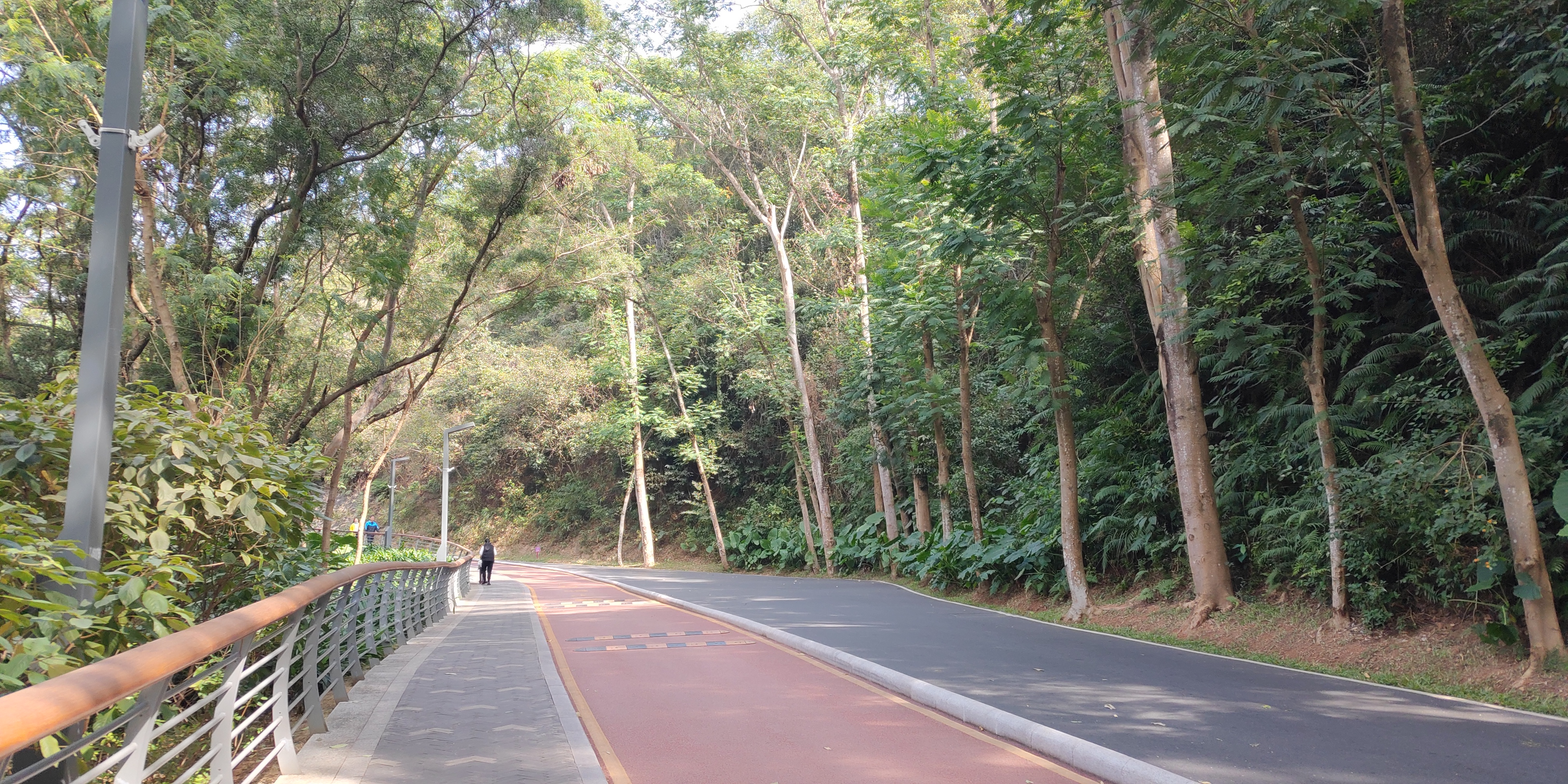 深圳罗湖绿道淘金山绿道攻略,深圳梧桐山绿道徒步攻略