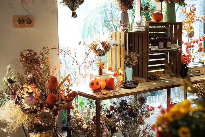 杨澜专访张艾嘉,杨澜采访张艾嘉