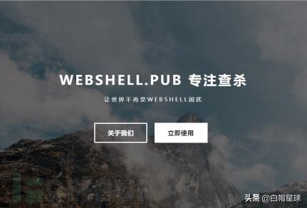 「工具整合」PE、调试反汇编、应急、流量分析和WebShell查杀工具