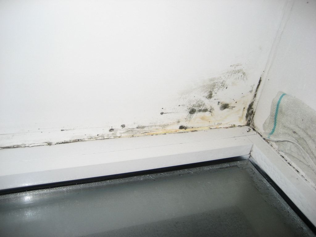 白墙上的污渍修补,白墙有黑印怎么能清除