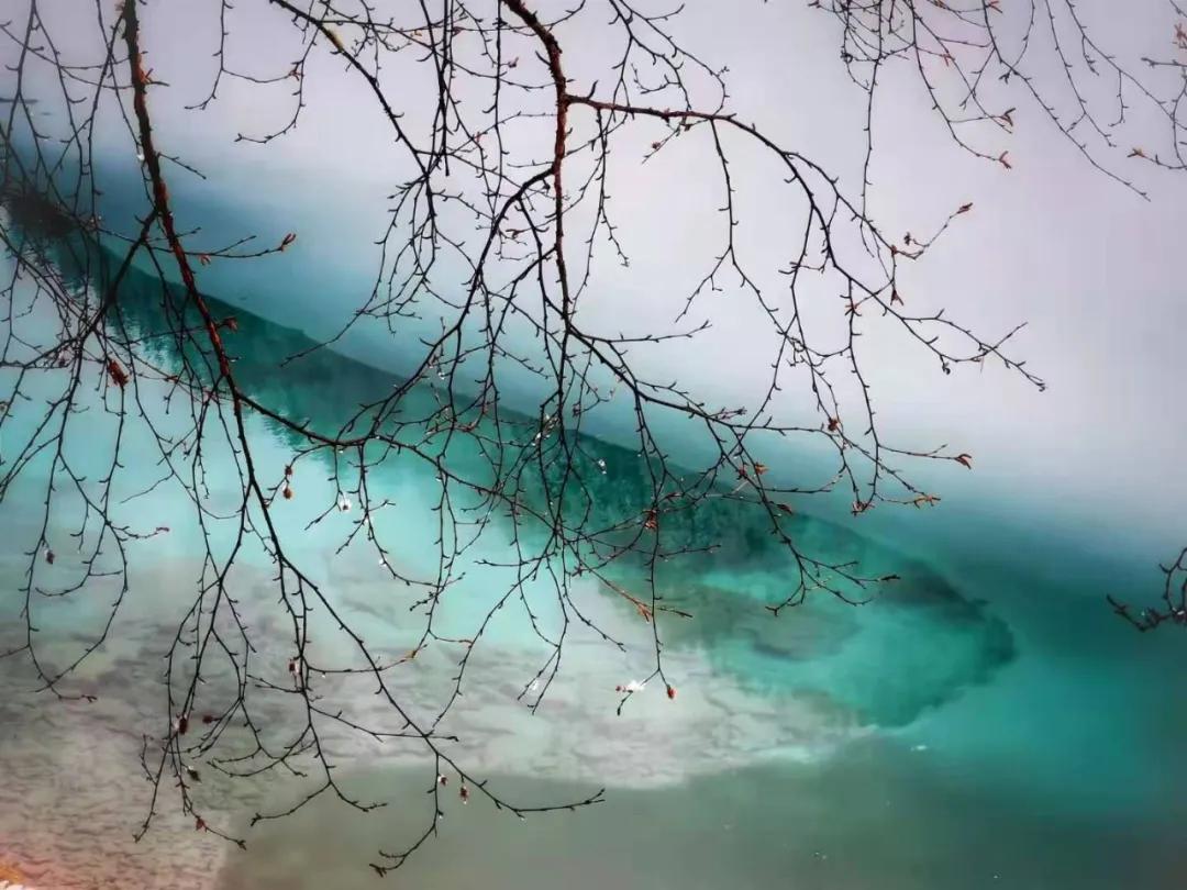 趁春意来赏油菜花海,趁春光去野游