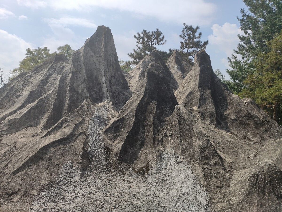 昆明世博园是免费参观的吗,第一次来昆明的感受