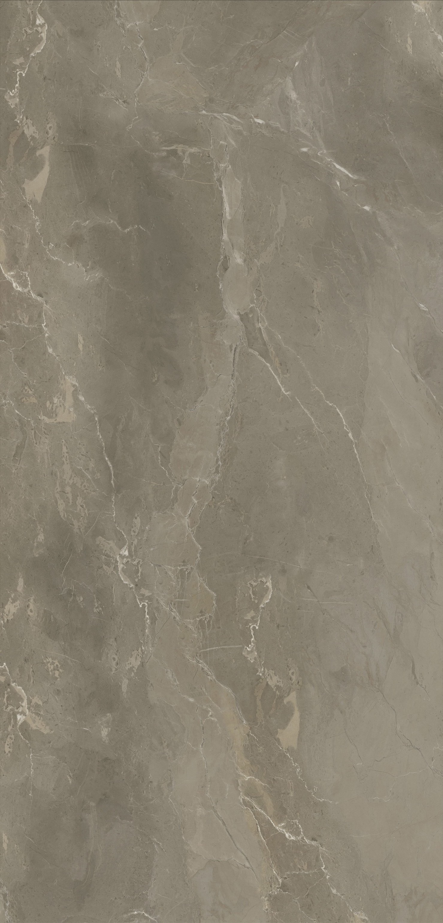 鍗撹繙鑷荤煶鍝佺浠嬬粛,鍗撹繙鑷荤煶浜氬厜