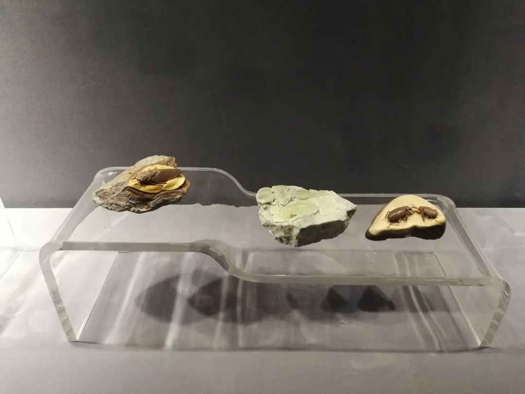 世界上最惊艳的咖啡,被称为小欧洲