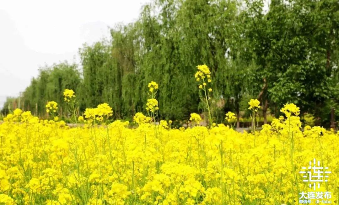 周末去哪玩周边游推荐一个好地方,周边游假期旅游攻略