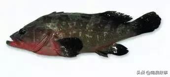 潮汕热销海鲜品种,潮汕常见的海鲜大全