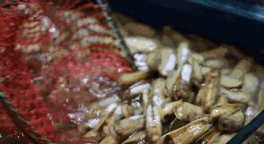 天津人借钱买奢侈品,天津人借钱吃海鲜是什么意思