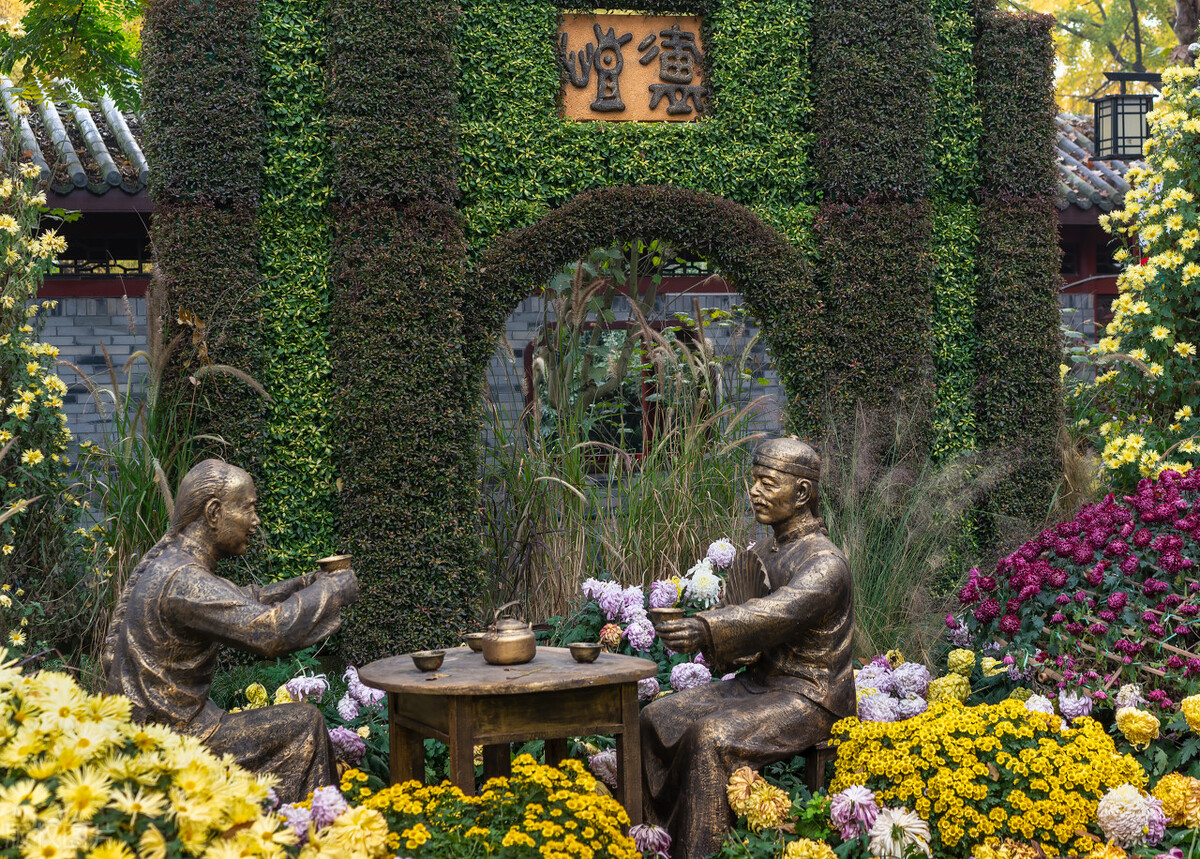 重阳节赏菊正当时，推荐国内这9个地方的赏菊好去处，沉浸式赏花