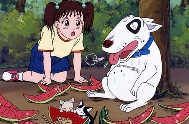 8090后的日本动画片,80年代90年代引进的日本动画片