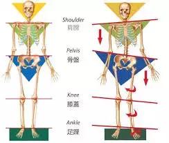长短脚可以推拿正骨矫正吗,长短脚的矫正手法视频