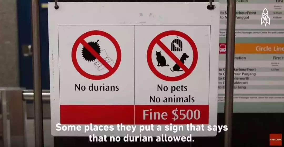 赌王派私人飞机买,蔡少芬怀孕也痴迷,凭啥它让*欲人**罢不能?