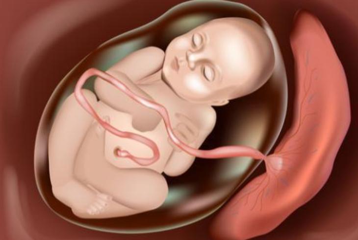 剖腹产孕37周和39周区别,为什么剖腹产建议38-39周生