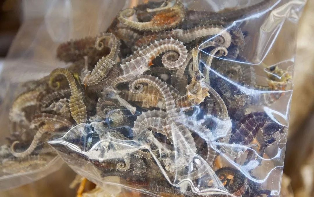 佛山市民注意事项,来往港澳有什么东西不能带