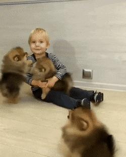 搞笑动图笑得肚子痛,搞笑动图gif图片合集